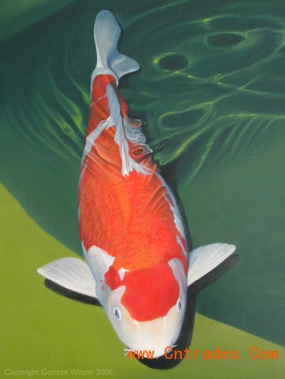 Show Koi