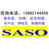 SASO֤SASỌSASO⣬SASO۸