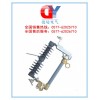 RW4-10KV/100