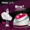 Haier/海尔HGS-2166挂烫机蒸汽家用手持双杆挂式熨斗立式烫斗全国包邮