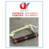 RW4-10KV/100A